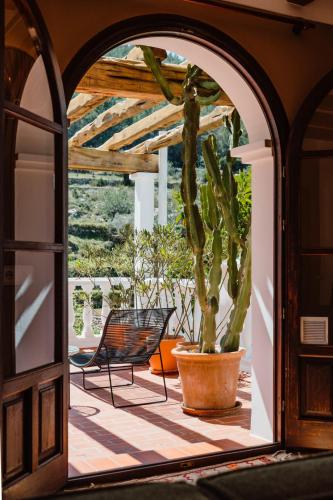 an arched doorway to a patio with a cactus at Valley Club - Agroturismo Ibiza in Sant Joan de Labritja