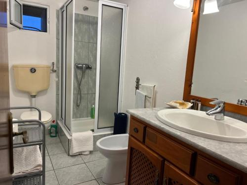 a bathroom with a sink and a toilet and a shower at Casa da Vinha in Feteira