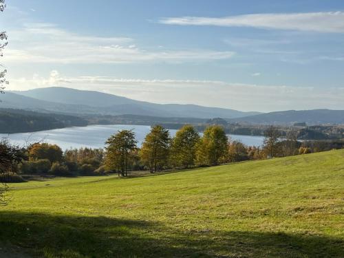 a green field with a view of a lake at Chata POD HOUBOVÝM VRCHEM in Horní Planá