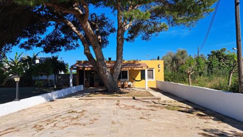 a yellow house with a tree in front of it at Cas Conco in Ciutadella