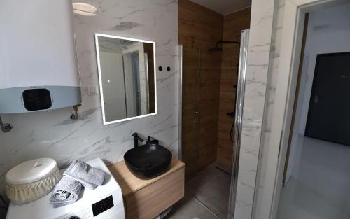 Koupelna v ubytování Apartment Lika