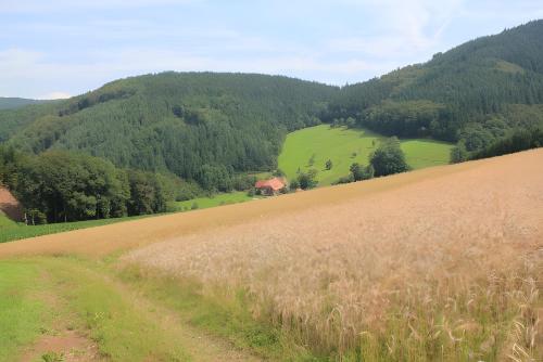 a field of wheat with a house in the distance at Geigerbauernhof in Mühlenbach