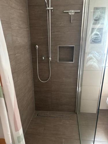 a shower with a glass door in a bathroom at Villa Croatia & Restaurant Adria in Klingenberg am Main