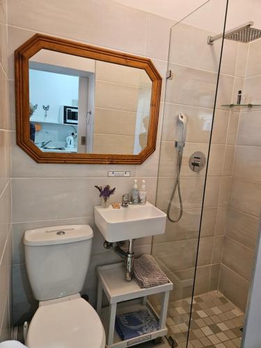 a bathroom with a toilet and a sink and a shower at Flamebreeze Corner @ Supertubes Jeffreys Bay in Jeffreys Bay