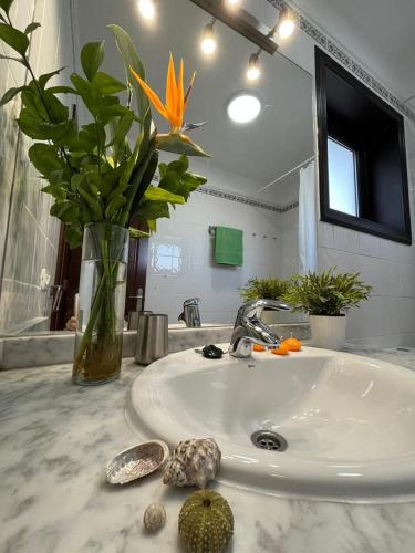 Villa Aloe 4
