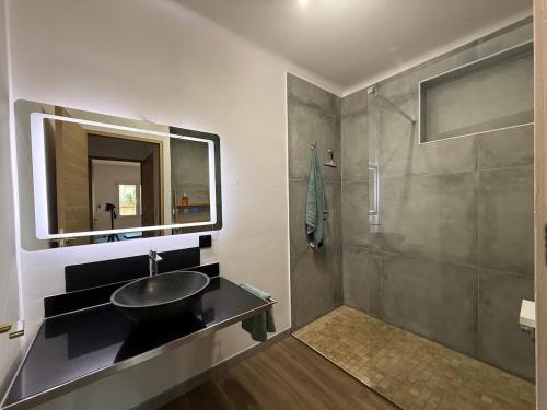 une salle de bain avec un lavabo et une douche dans l'établissement 3BD Appartement Juan-les-Pins Antibes near beach and centre, à Antibes