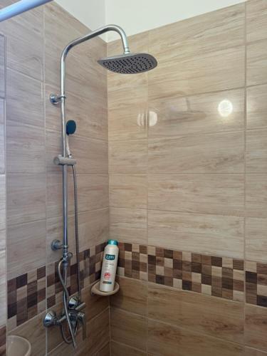 a shower with a shower head in a bathroom at Dió Apartman in Hajdúszoboszló