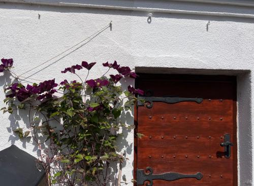 Photo de la galerie de l'établissement Tiny house - in medieval Ystad, à Ystad
