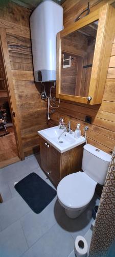 a bathroom with a toilet and a sink and a tv at Brvnara "Duboki Potok" in Vrnjačka Banja