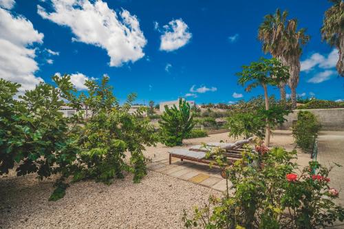 Κήπος έξω από το Slowing Villas - Villa Oceano