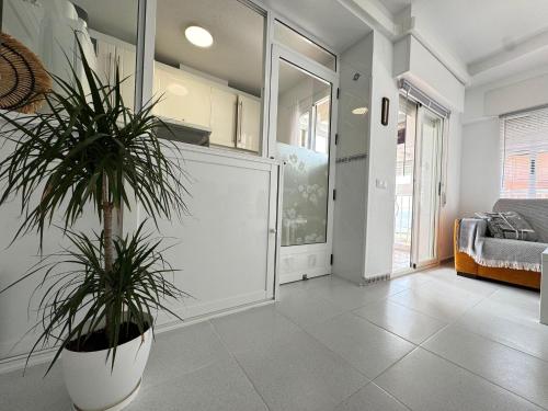 a living room with two potted plants on the floor at Beachfront apartment in La Mata in La Mata