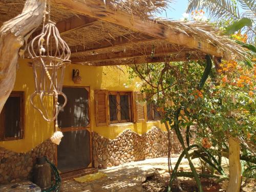 Jillyfish House Dahab - deine Oase in zwei Palmengärten - zentral am 'Lighthouse'