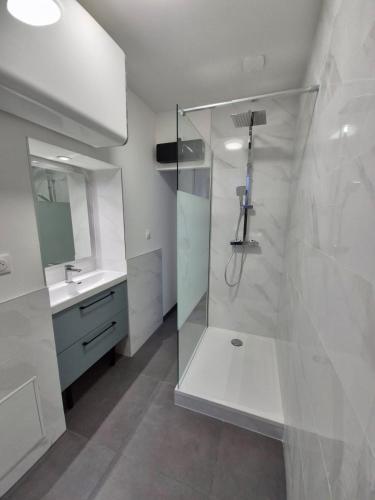 une salle de bain avec douche et lavabo dans l'établissement L'aparté Dijonnaise Hypercentre Dijon Darcy, à Dijon
