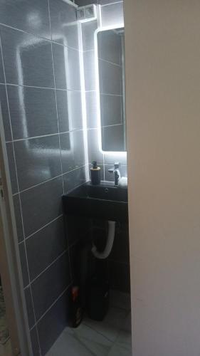 a bathroom with a sink and a mirror at Planinska kuća Bajni in Vlajsovići
