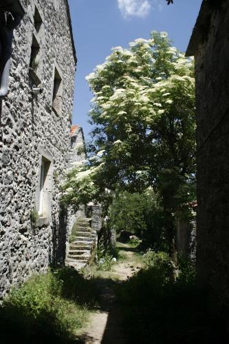 Fotografie z fotogalerie ubytování Maison Casal v destinaci Campestre-et-Luc