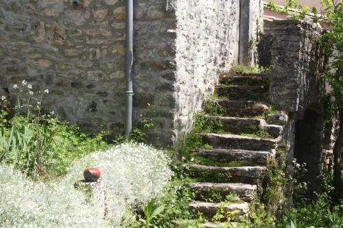 Zahrada ubytování Maison Casal