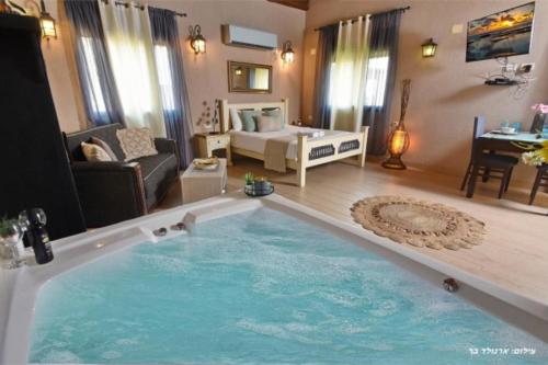 a large swimming pool in a living room at Honeymoon in Had Nes