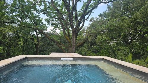 un bassin d'eau avec un arbre en arrière-plan dans l'établissement Villa Calou à Vaison, à Vaison-la-Romaine