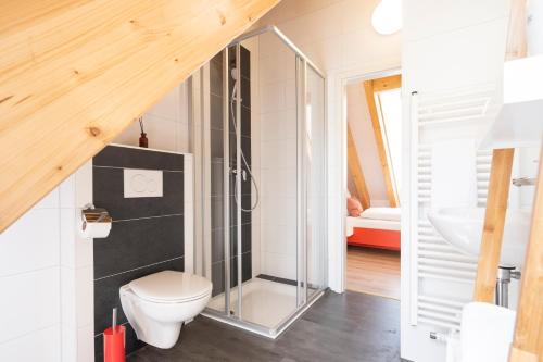 バンベルクにあるBunter Hund Apartments - ganzes historisches Altstadthausのトイレと洗面台付きのバスルーム