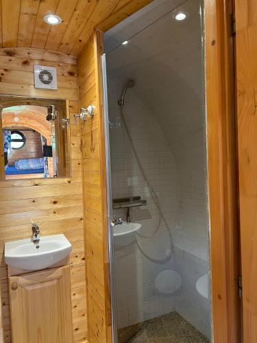 une salle de bain avec douche et lavabo dans l'établissement barrique viticole, à Le Tartre