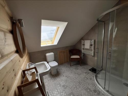 a bathroom with a toilet and a sink and a window at Siedlisko Polesia Czar in Wólka Wytycka
