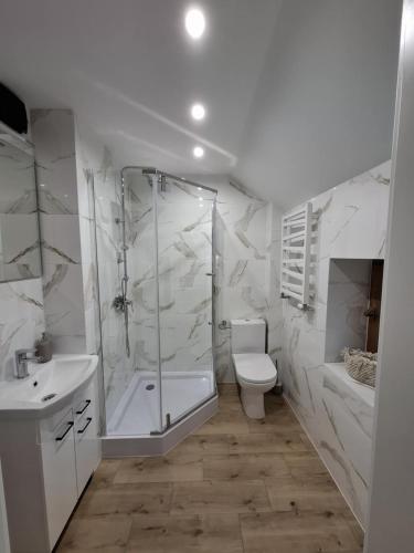 a bathroom with a shower and a toilet and a sink at Apartamenty u Anety in Wilkasy