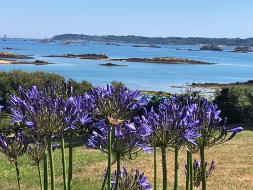 Φυσικό τοπίο κοντά σε αυτός ο ξενώνας
