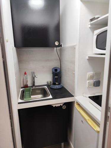 une petite cuisine avec un évier et un micro-ondes dans l'établissement Studio de L'Estuaire, à Saint-Seurin-de-Cursac
