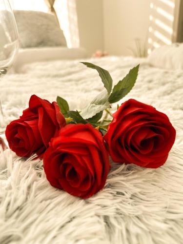 a group of three red roses on a bed at VIBE S32 Apartman,AC,Free Parking in Székesfehérvár