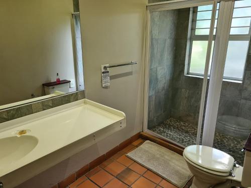 a bathroom with a tub and a toilet and a shower at Elegant Lodge & Conference Center in Pongola