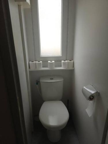 une salle de bain avec des toilettes blanches et une fenêtre dans l'établissement Aureilhan Le Maori, à Aureilhan