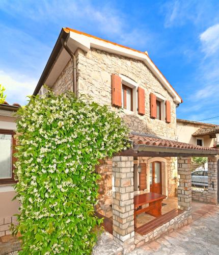 Apartmani Petar Stojnić