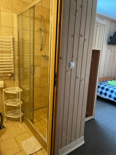 a shower in a room with a glass shower backdoor at U Wajdy in Małe Ciche