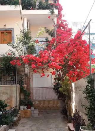 Modern & Lovely Apartment Downtown Near Acropolis