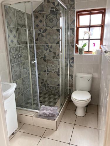 a bathroom with a shower and a toilet and a sink at Montana Cape House in Pretoria