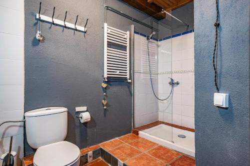 a bathroom with a toilet and a shower at La Quintana de la Foncalada in El Cabritón