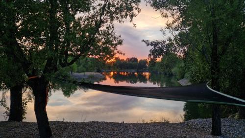 a hammock sitting on the shore of a lake at Barrels by the Lake in Priles
