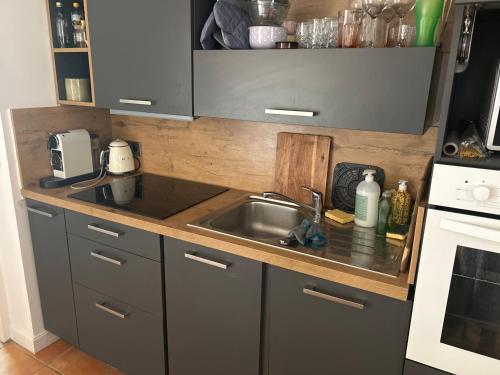 une cuisine avec un évier et un plan de travail dans l'établissement petite maison de vacances avec piscine dans un domaine, à Fayence