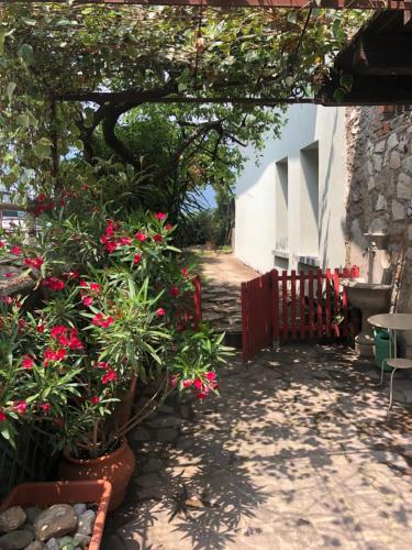 a garden with red flowers and a fence at Antica Casa Fenaroli in Iseo