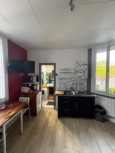 - une cuisine avec évier et comptoir dans la chambre dans l'établissement Studio near thermal baths & city center, à Bagnères-de-Bigorre