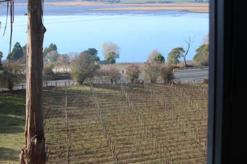 a view of a vineyard from a window at The Tamar Ridge Lookout 2BR 2Bath Suite in Grindelwald