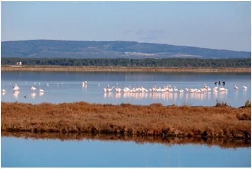Appartement cosy et terrasse spacieuse