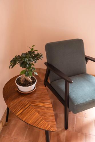 a chair and a potted plant on a wooden table at Villa Amoroso - Ospitalità Mediterranea in Agrigento