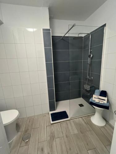 een badkamer met douche en toilet bij CORNELIA´S HOME 4 Primera linea de playa in Los Cristianos