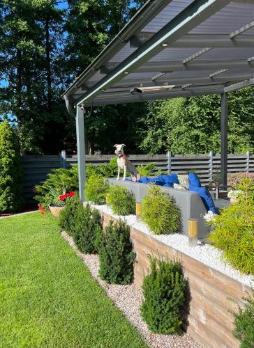 a dog sitting on a bench in a garden at Vila Vitalija in Palanga