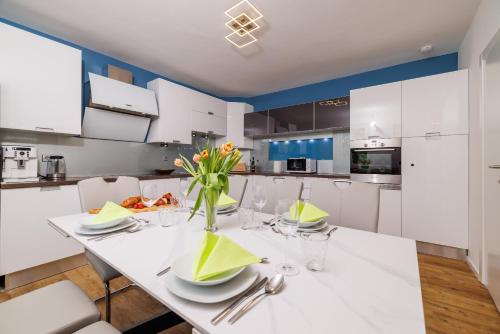 Kuchyň nebo kuchyňský kout v ubytování Villa Ceca