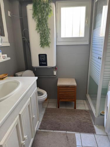 une salle de bain avec un lavabo et des toilettes et une fenêtre dans l'établissement Chalet tout confort à Gruissan, à Gruissan