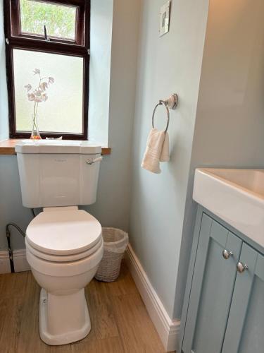 a bathroom with a toilet and a sink and a window at Comfortable Home in Quiet Coastal Community in Dungarvan