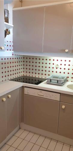 Il comprend une cuisine équipée d'une cuisinière. four supérieur à côté d'un évier dans l'établissement Quartier Couchant Appartement t2 pour 4 personnes N115, à La Grande Motte