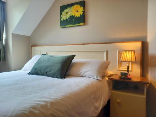 a bedroom with a bed with a blue pillow on it at Ashfield House Failte Ireland Approved Bed and Breakfast in Cong
